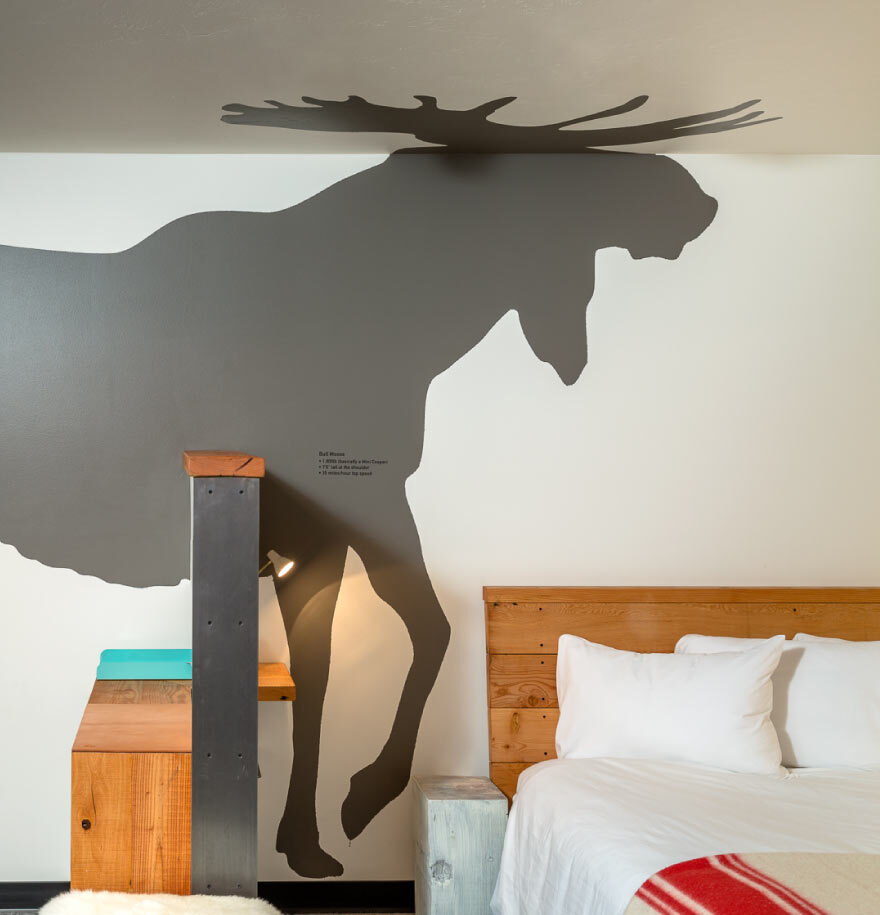Interior shot of moose wall art at our downtown Bozeman hotel